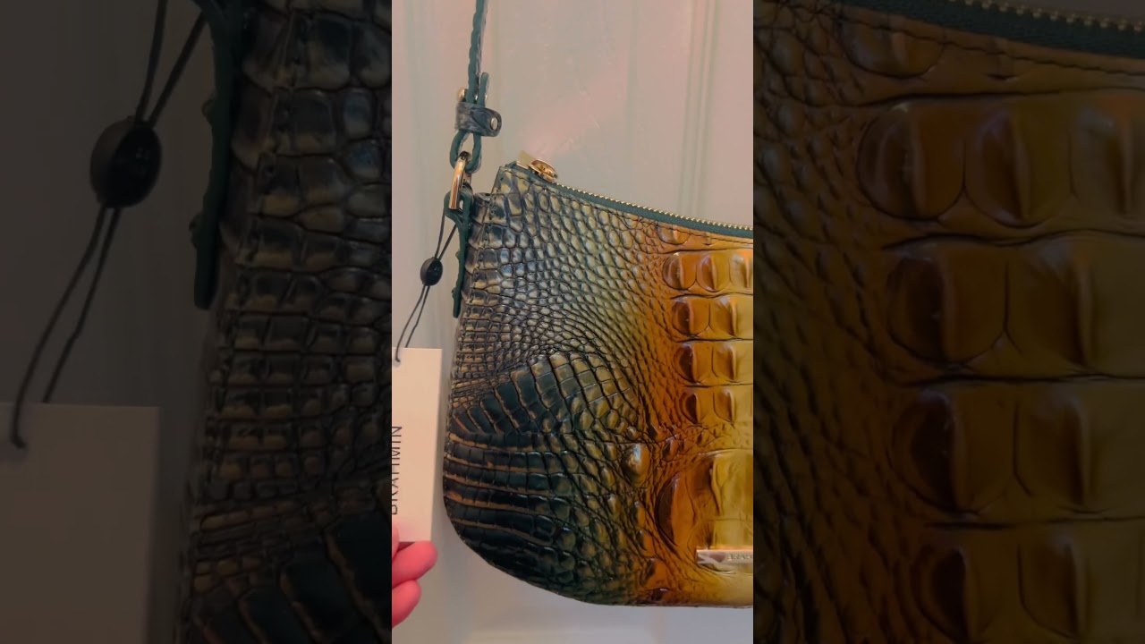 Beautiful Brahmin Crossbody ❤️