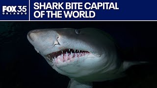 How common are shark bites in Florida really?