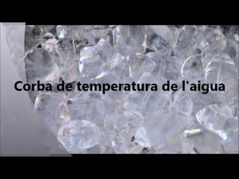 Vídeo: Com Esbrinar La Temperatura De L’aigua