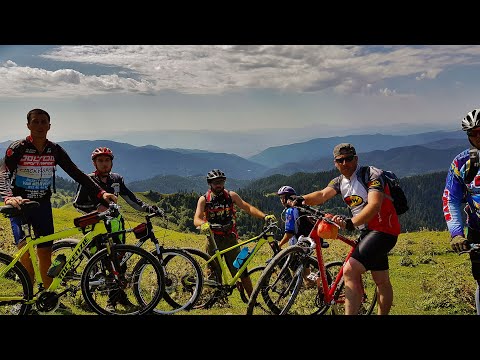 ველო მოყვარულები