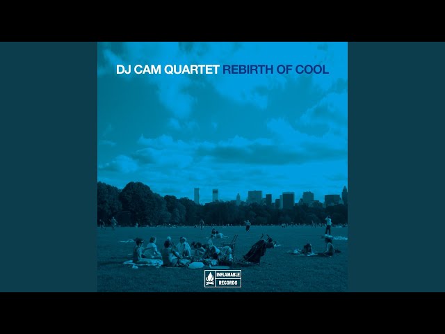 Dj Cam Quartet - Herbie