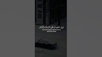 ومن آياته أن تقوم السماء والأرض بأمره ثم إذا دعاكم دعوة من الأرض إذا أنتم تخرجون ..| ياسر الدوسري