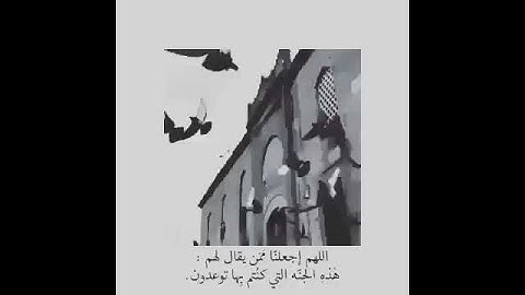 حالات واتس اب قران كريم افمن شرح الله صدره للاسلام