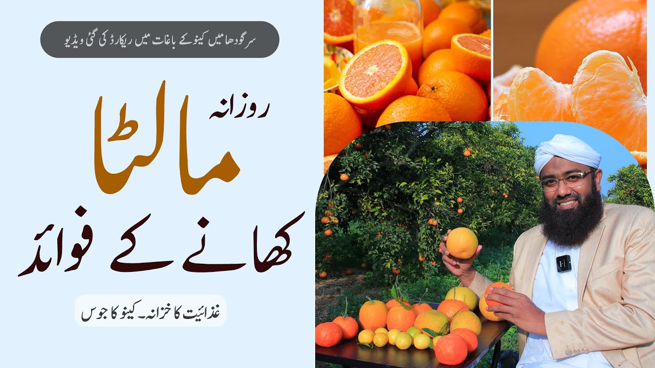 Health Benefits of Citrus Fruits Malta Khane Ke Fayde Soban Attari YouTube