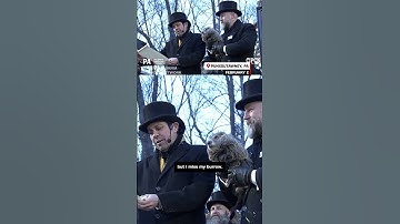 Punxsutawney Phil makes 2025 Groundhog Day prediction
