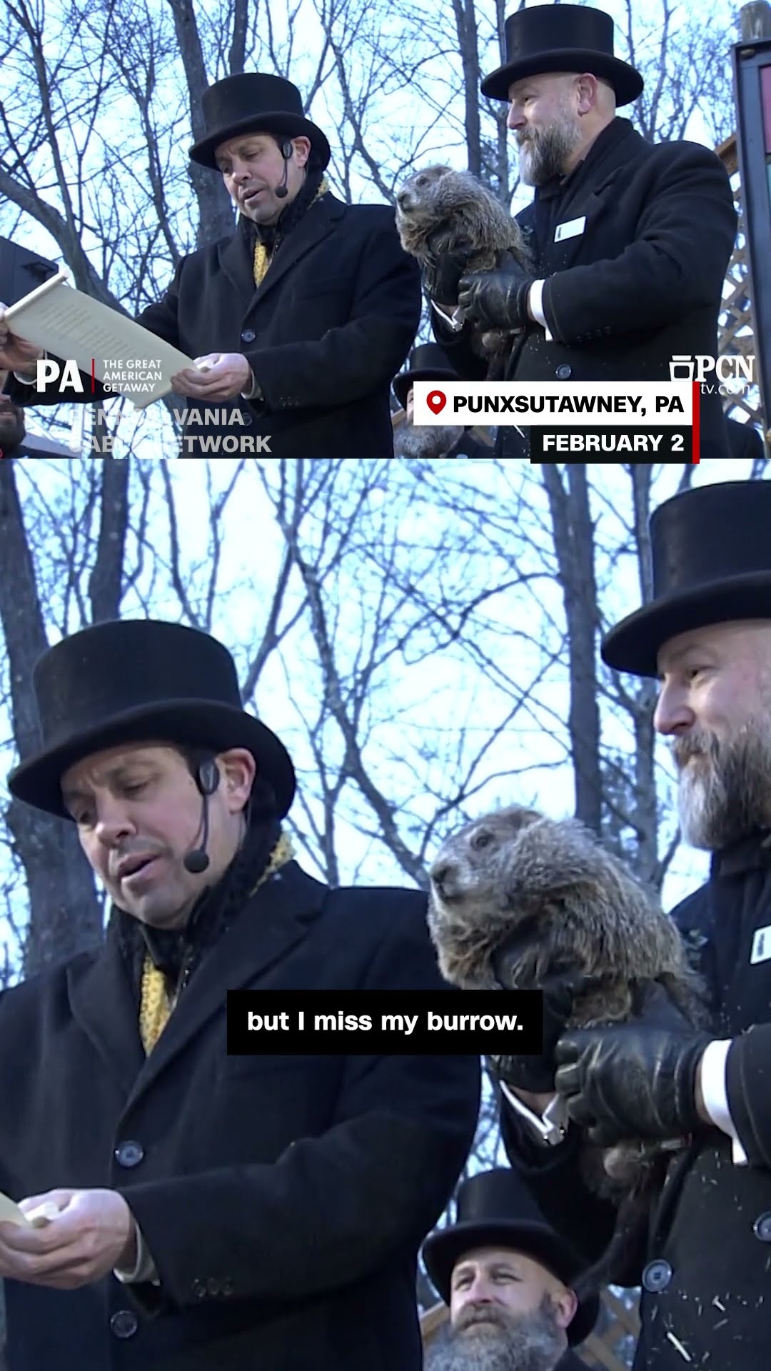 Punxsutawney Phil makes 2025 Groundhog Day prediction