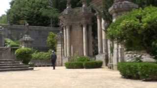 Dina - Braga Portugal