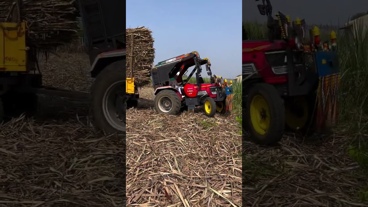 #कसाय_हत्यार