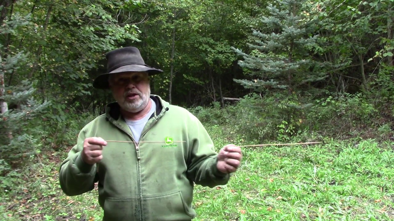 Water dowsing 101 and more YouTube