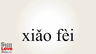 How to Say Gratuities in Chinese