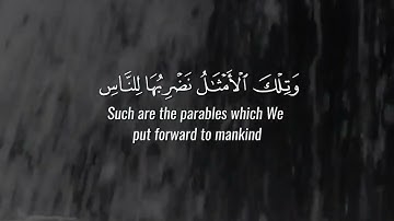 سورة الحشر ياسر الدوسري | حالات واتس قران كريم بصوت جميل | قران حالات واتس || راحه نفسيه