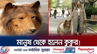 ছিলেন মানুষ, টাকা খরচ করে নিজেকে বানালেন কুকুর!| Man Transforms Dog | Japan | Jamuna TV screenshot 5