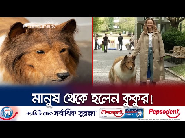 ছিলেন মানুষ, টাকা খরচ করে নিজেকে বানালেন কুকুর!| Man Transforms Dog | Japan | Jamuna TV class=