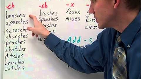 SA sort 7 plural endings adding  es