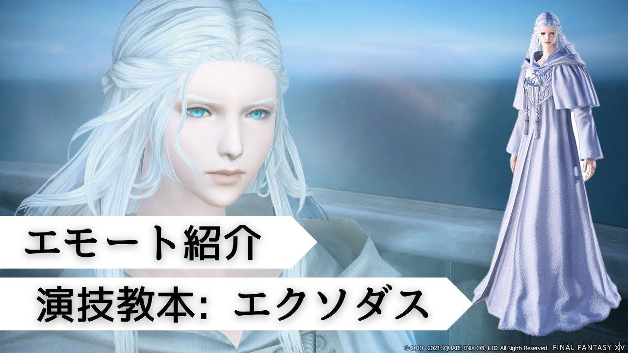演技教本: エクソダス アイテムコードのみ FINAL FANTASY XIV マイ 