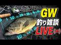 GW釣り雑談ライブ🎣久しぶりにみんなと話す回