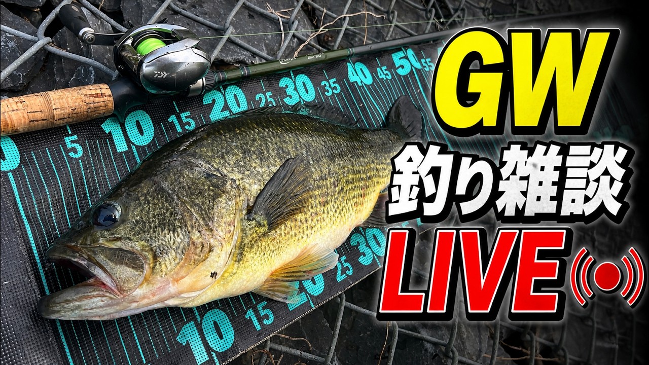 GW釣り雑談ライブ🎣久しぶりにみんなと話す回