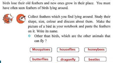 Std  3 Ch  8 Furrr... (Part   2)