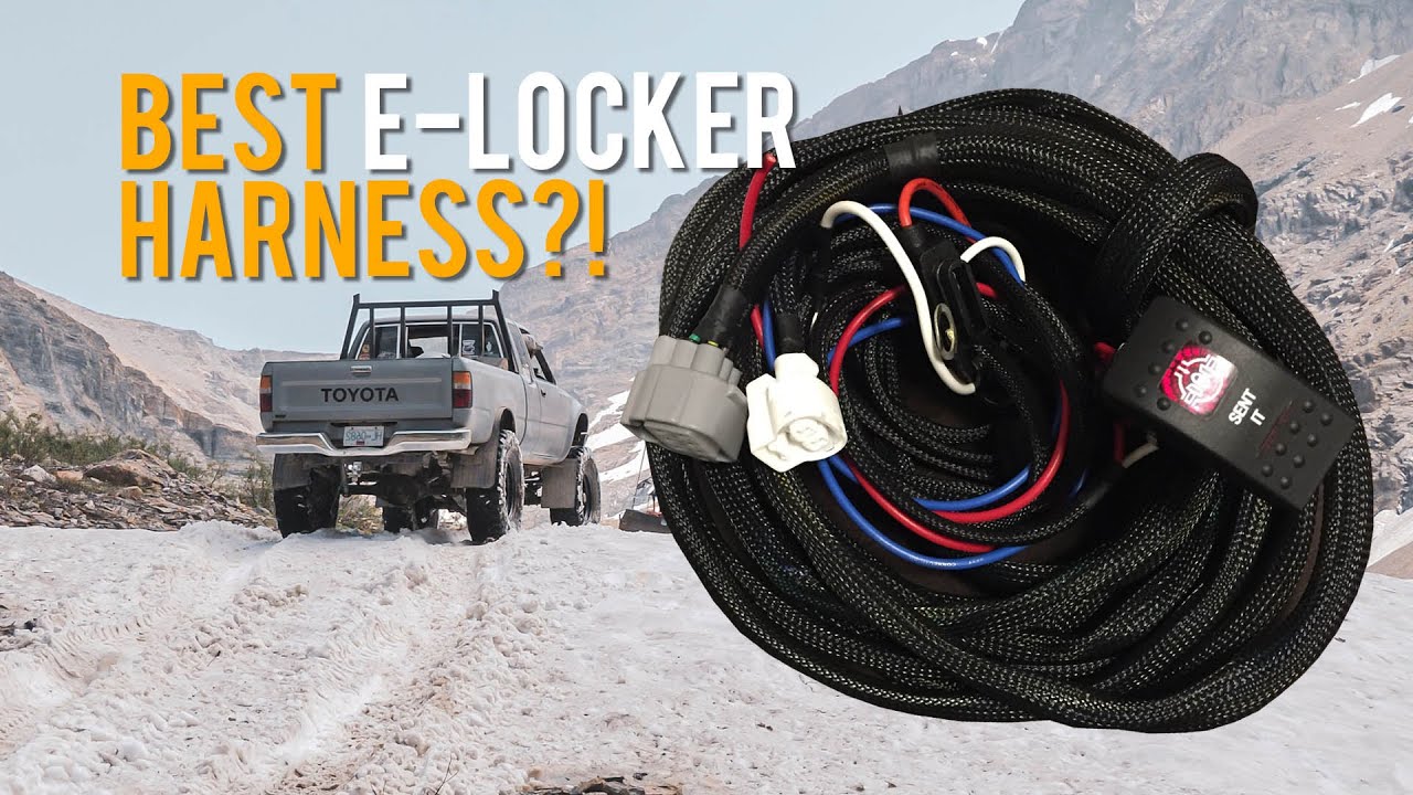 Best Affordable E-Locker Harness | Plug And Play | Easy - YouTube