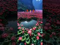 Allah hamari 🤱maaon 🤱ko 🤱salamat 🌹rakhna 🌹qauwali #tarending video 📷🌹❤️