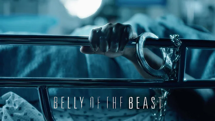 BELLY OF THE BEAST | DOCUMENTARY FILM | OFFICIAL T...