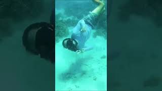 Western Australia’s Reef! #shorts #australia #travel