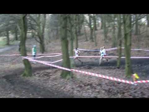 Mens midland cross champs, mansfield, tipton harriers