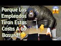 Porque  Los Empleados Tiran Estas Cosas A La Basura?🤔//Dumpster Diving🇺🇸Noemy B La Salvadoreña