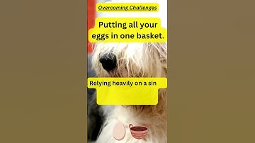 🥚🧺Putting all your eggs in one basket.#expressions #sayings #idiomsexplained #idioms