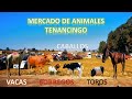 MERCADO DE ANIMALES 06 DE FEBRERO 2022; TENANCINGO, ESTADO DE MÉXICO.