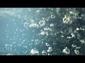 I needed some underwater bubbles stock footage...