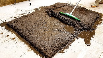 Insanely Satisfying Cleaning Super Dirty Carpet. A unique therapy and relaxation
