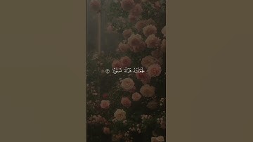 ﴿وَقَدِمۡنَاۤ إِلَىٰ مَا عَمِلُوا۟ مِنۡ عَمَلࣲ﴾  | القارئ محمد صديق المنشاوي #قرآن #اكسبلور #المصحف.