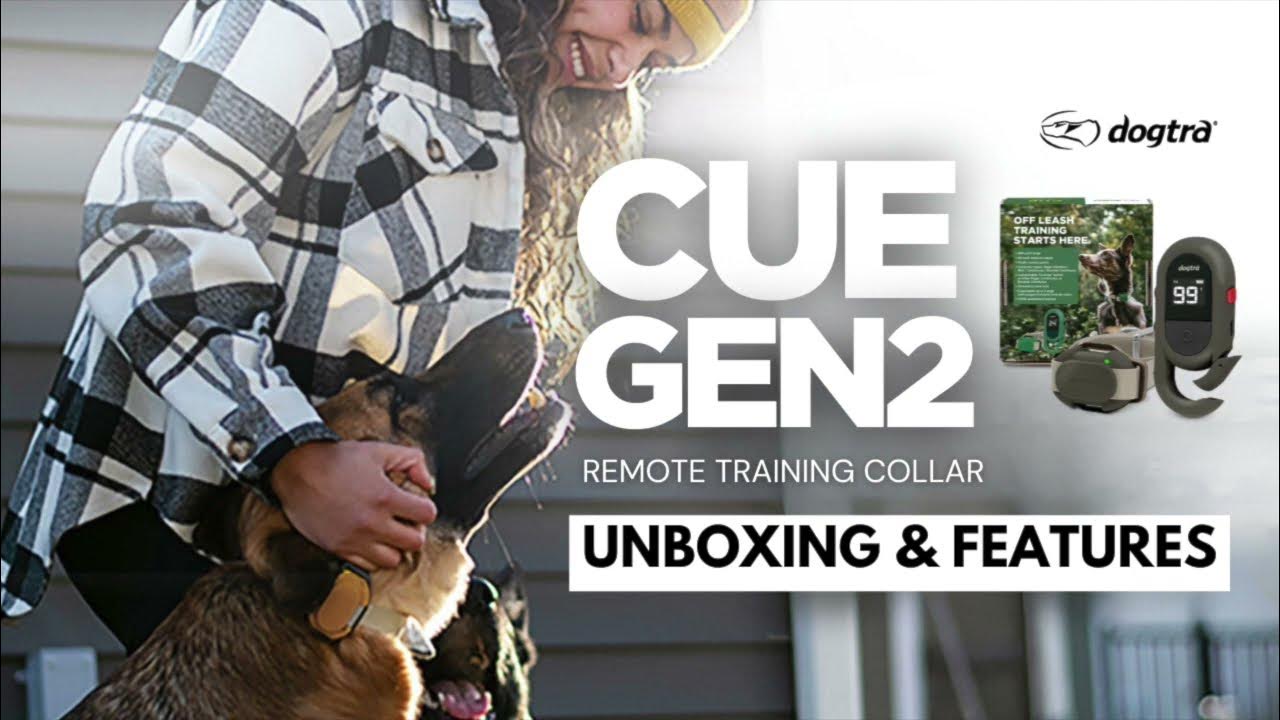 Easy Gentle ECollar for Small Dogs CUE GEN 2 DOGTRA YouTube
