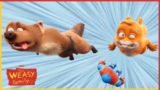 Weasel V.S. Squirrel 🐥 The Weasy Family 🐥 Clip Compilation