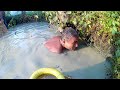 Awesome Fishing By Hand Under Water With Bamboo Fish Trap Polo.