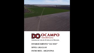 242 has Dpto Uruguay - Entre Ríos - Argentina