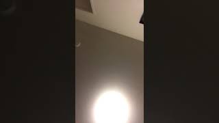 It The Like If You Miss Xtentachin