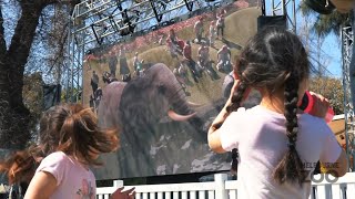 Air, Land & Sea Augmented Reality by INDE x National Geographic at Melbourne Zoo