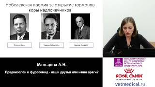 Мальцева А. Н. - Преднизолон и фуросемид – наши друзья или наши враги?