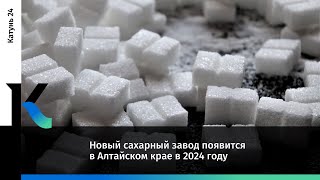 Новый сахарный завод появится в Алтайском крае в 2024 году