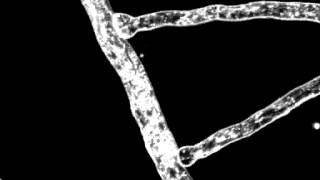 N308T1A screenshot 4