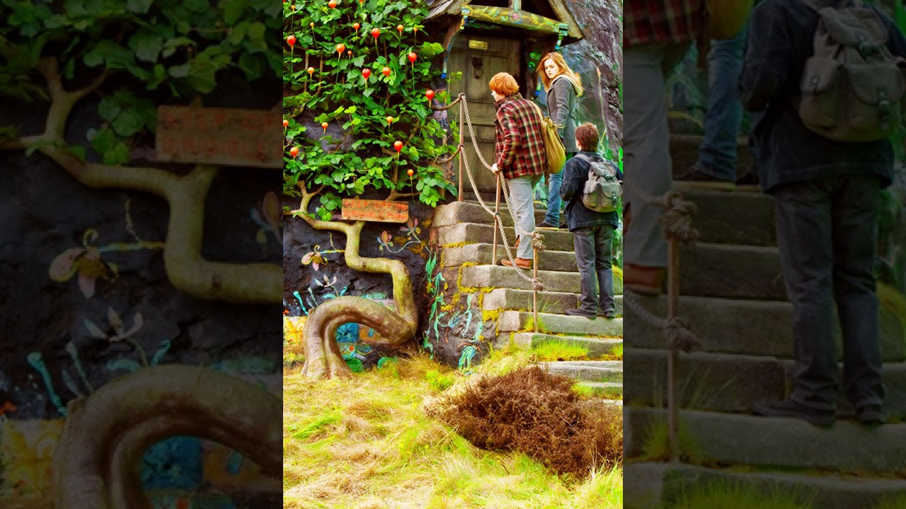 Harry Potter La Vida Vegetal De Poniente 1 20