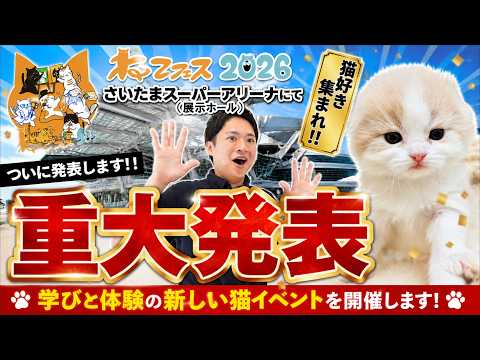 Major Announcement] We're holding a cat event for cat lovers