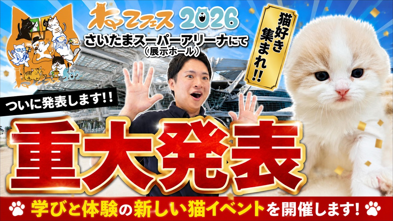 【重大発表】猫好きの為の猫イベントを開催します!!! #さいたまスーパーアリーナ