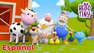 ¡ Viejo Macdonald tenía una granja ! |  Hello Tiny en Español | Canciones infantiles para bebes
