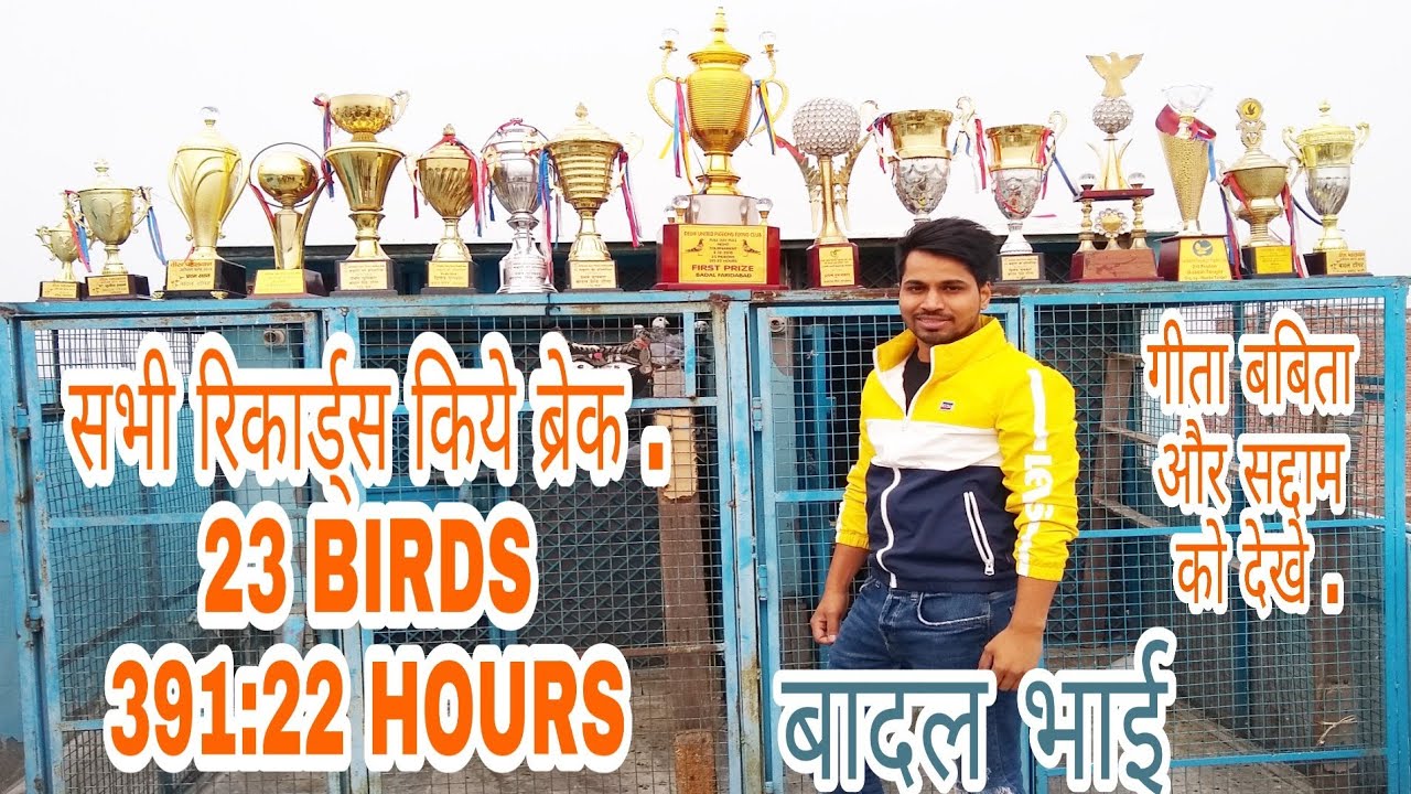 विश्व विजेता BADAL BHAI OR UNKE MADRASI KABUTAR.
FARIDABAD HARIYANA.
.