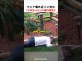 ゴルフ場の近くに住むパパのレジェンド級の演技力