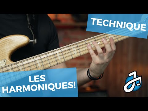 Guitare basse ou Basse électrique ?⎪Cours de basse