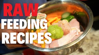 RAW FEEDING Recipes!!! (Step by Step)